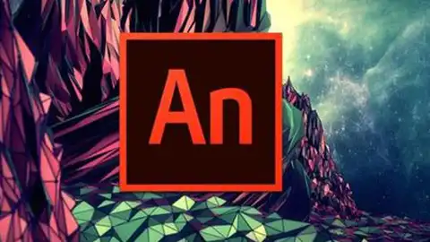 Animate2024破解版